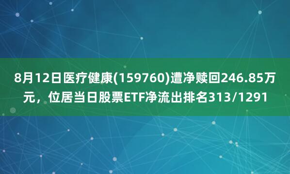 8月12日医疗健康(159760)遭净赎回246.85万元，位居当日股票ETF净流出排名313/1291