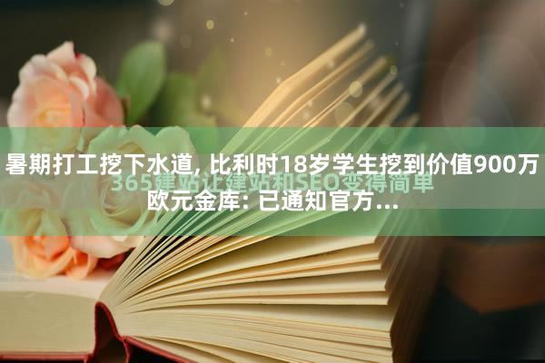 暑期打工挖下水道, 比利时18岁学生挖到价值900万欧元金库: 已通知官方...