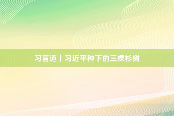 习言道｜习近平种下的三棵杉树